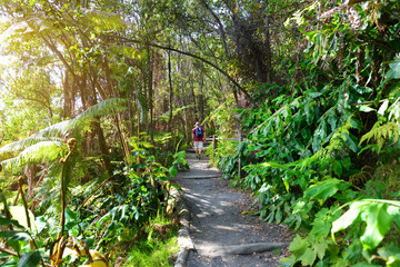 Kilauea Iki trail in Volcanoes National Park in Big Island of Hawaii.