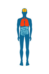 Human Body Infographic Man Vector Illustration