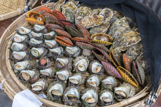 Fresh Turbo cornutus , scallops and oysters prepared for barbecue fire grill in Mie , Japan