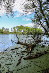 Kleiner Bodensee