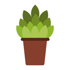 Fototapeta premium Plant in pot symbol vector illustration graphic design