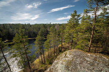 landscape of spring forest