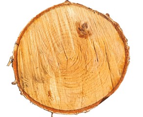 Wooden stump isolated on the white background. Round cut down tree with annual rings as a wood texture.