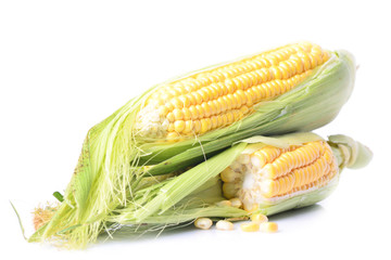 Fresh corn