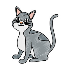 Cute cat cartoon vector illustration graphic design