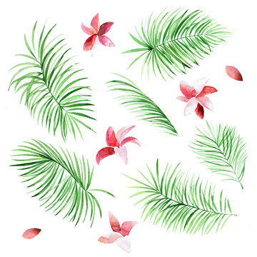 Set of watercolor palm leaves and flowers on white background. Tropical natural elements for your design.