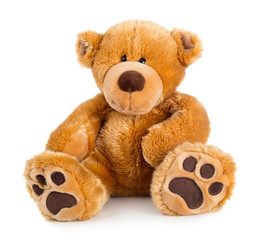 Toy teddy bear