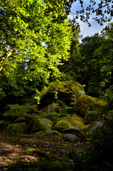 Huelgoat forest in Brittany
