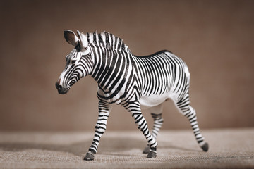 Fototapeta na wymiar luxury baby rubber Zebra toy for animal collection.