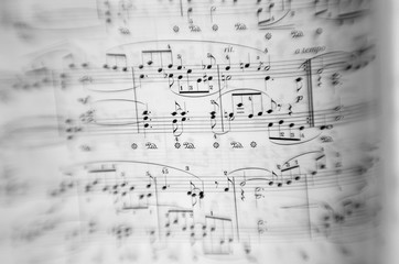 Fototapeta premium Sheet music black notes on white
