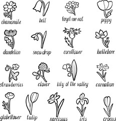 Fototapeta premium vector set of flowers