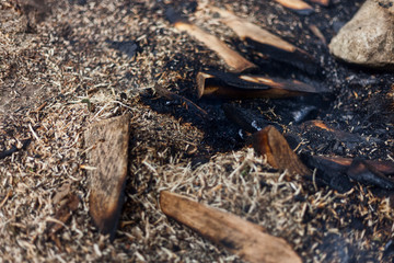 Reportage borgo abbandonato di Rogudi antico