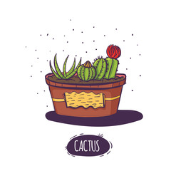 Set of cactus. Hand drawn succulent ornament. Vector illustration of a cactus isolated on a white background. Cute hand drawn vector cactus .