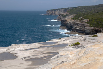 Fototapeta na wymiar Sydney Australia, view along coastline in Royal National Park from Bundeena lookout
