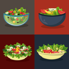 Set of differents salads in bowls in colorful frames vector illustration graphic design