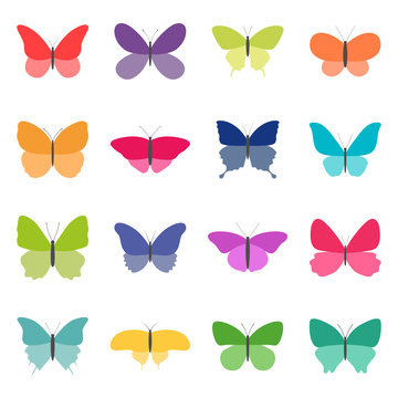 Set of color butterflies on white background, vector illustration