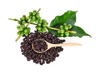 coffee beans isolated on white background