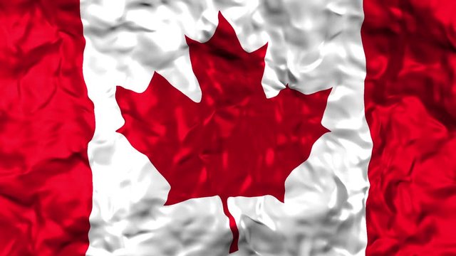 Canadian flag waving in the wind