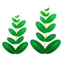 green leaf plant element decor isolated for game art design
