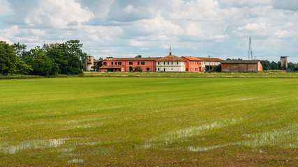 Fototapeta premium Flooded Rice paddy fields in rural Lombardy, Italy