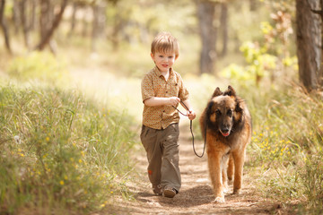little child running around with a big dog Tervuren breed