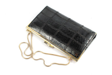 Ladies Clutch Purse Hand Bag on White Background