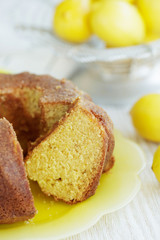 Cupcake on a sponge cake 