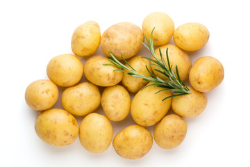 New potato and rosemarin isolated on white background close up.