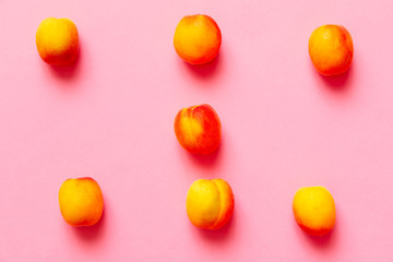 Fototapeta na wymiar Apricots set of six isolated over a fuscia background viewed from above, flatlay style