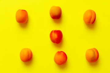 Apricots set of six  isolated over a yellow background viewed from above, flatlay style