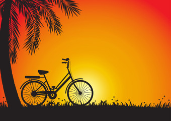 Naklejka premium Silhouette of bicycle on meadow with palm tree on golden sunset background, vector illustration
