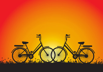 Silhouette of two bicycles during sunset in meadow, vector illustration
