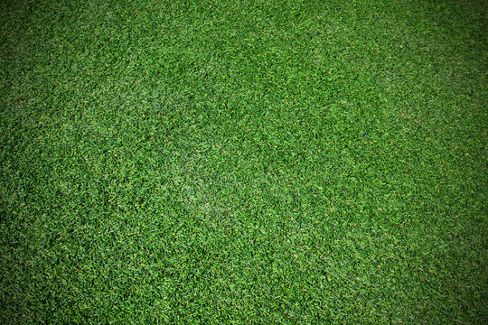 artificial grass background