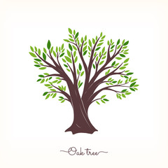 Nature. Vector silhouette oak tree on white background. Organic food.