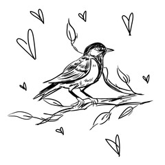 Vintage Greeting Card with Blooming Flowers and Birds. Thank You with Place for Your Text. Wildflowers, Vector Illustration. A frame of flowers and flowers with birds. Wedding card with love sparrows.