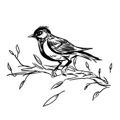 Vintage Greeting Card with Blooming Flowers and Birds. Thank You with Place for Your Text. Wildflowers, Vector Illustration. A frame of flowers and flowers with birds. Wedding card with love sparrows.