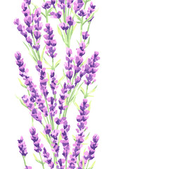 Lavender flowers seamless pattern. Watercolor natural illustration of Provence herbs