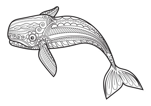 Vector Whale For Adult Anti Stress Coloring Pages.