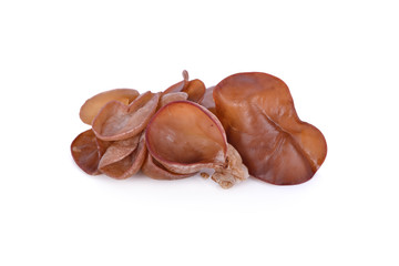 fresh Jew's Ear Mushroom on white background