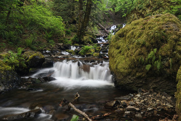 Waterfall in Columbia River Gorge National Scenic Area, Oregon
