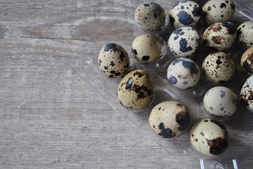 Jajka przepiórki © bnorbert3