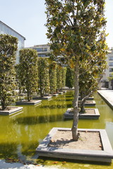 Obraz premium Parc André Citroën à Paris