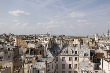 Fototapeta na wymiar Paysage urbain à Paris 