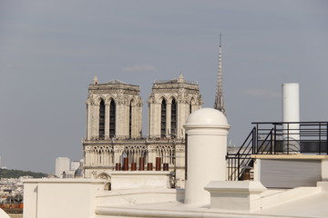 Cathédrale Notre Dame, vue depuis un toit d'immeuble à Paris
