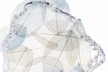 Skeleton Leaves Flower Composition on white  background,transparent blue leaves