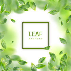 Leaf Vector Realistic Background