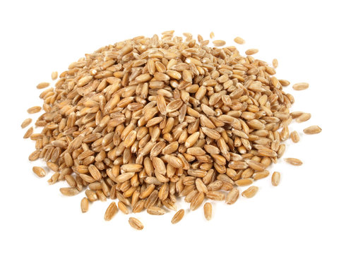 Dinkel