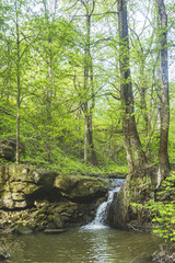 Naklejka premium Small waterfall on a creek. Moscow region, Russia
