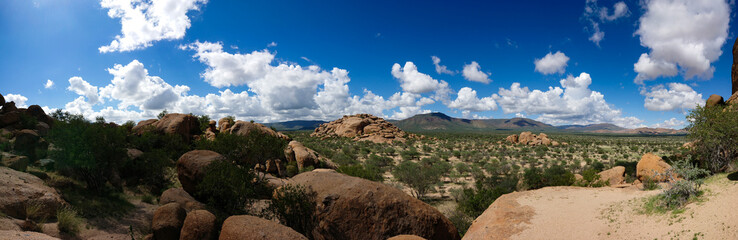 Green Scenery with Rocks