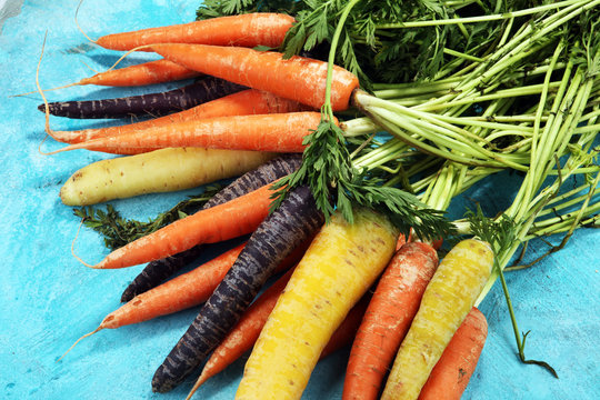 Pile Of Carrots. Crate Of Mixed Fresh Harvested Colorful Carrot.